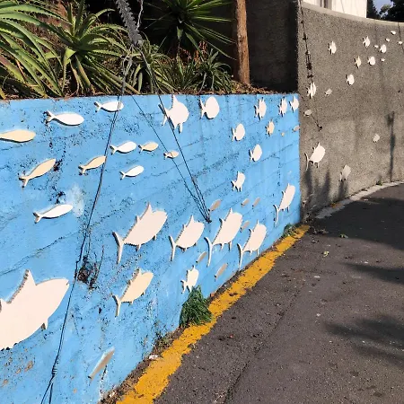 Casa Do Porto Ocean View Casa de Férias *